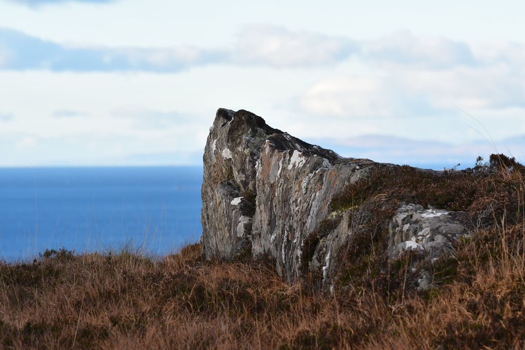 2018-11 Scotland/Glenuig/DSC_7204.JPG